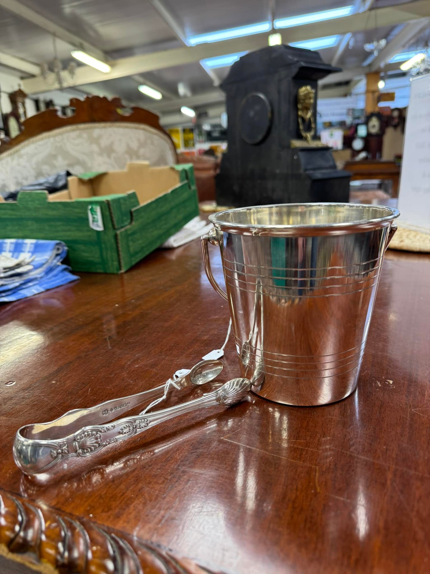 Ice Bucket & Tongs