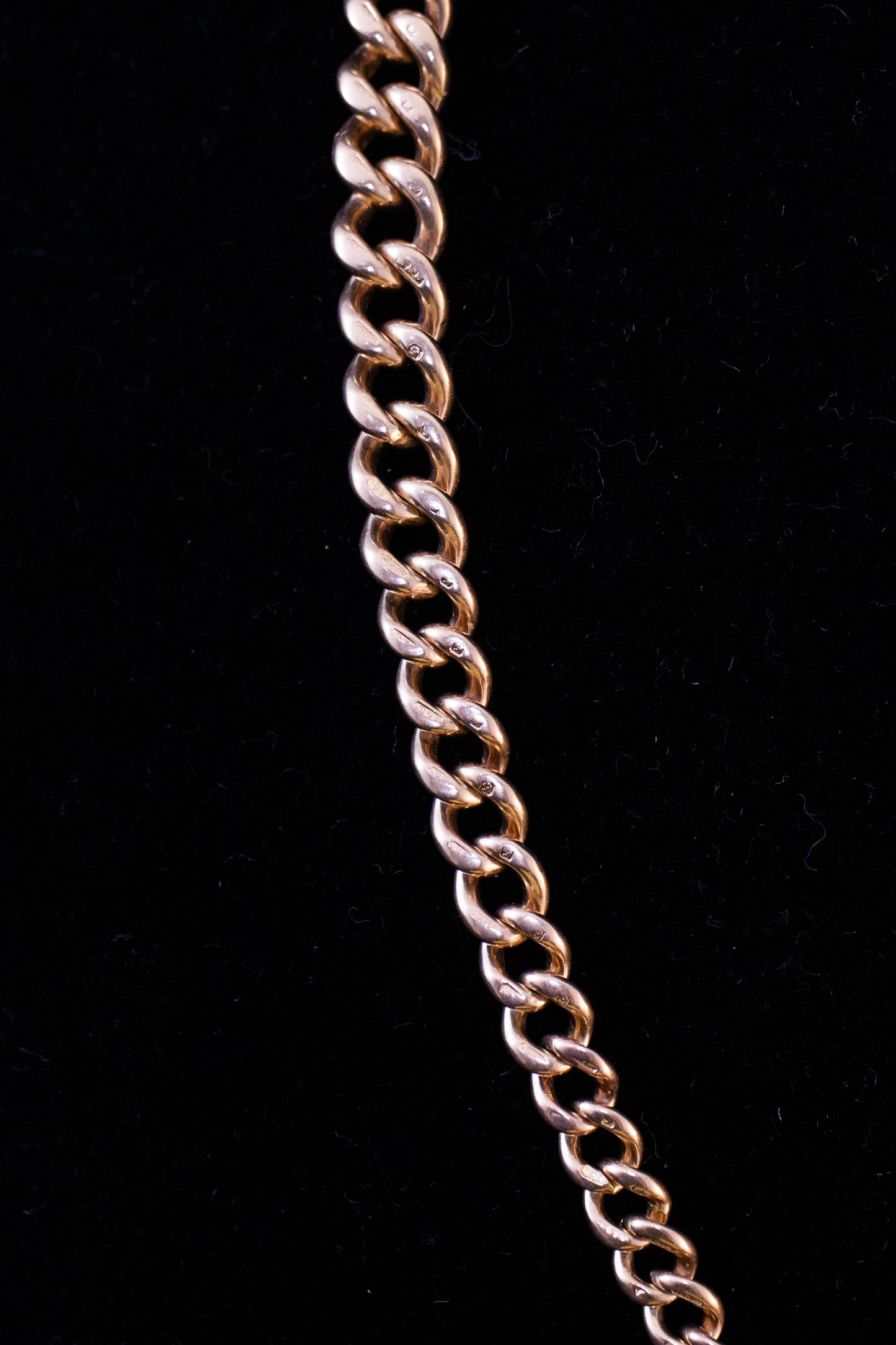 Albert Chain Necklace