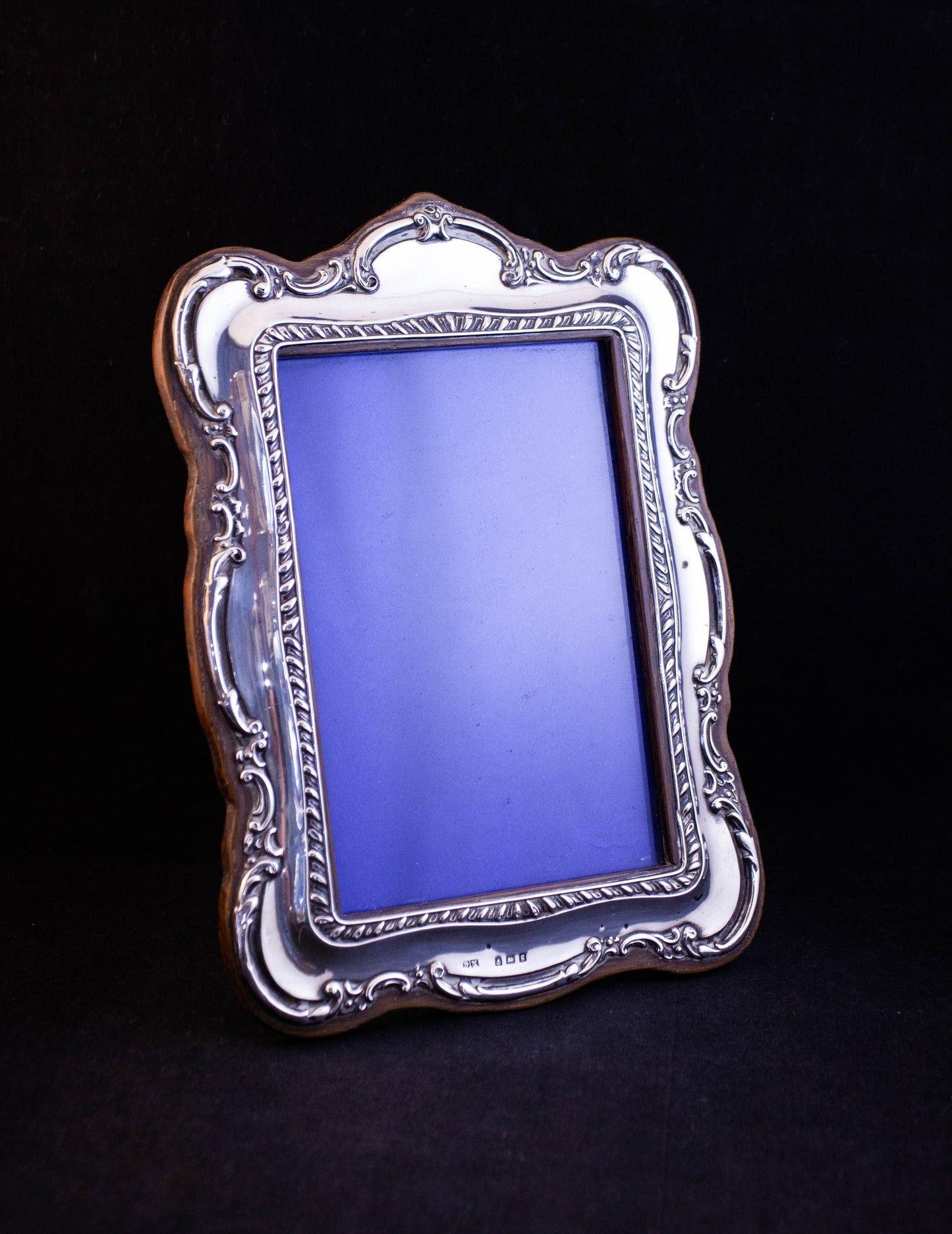 Ornate Silver Frame
