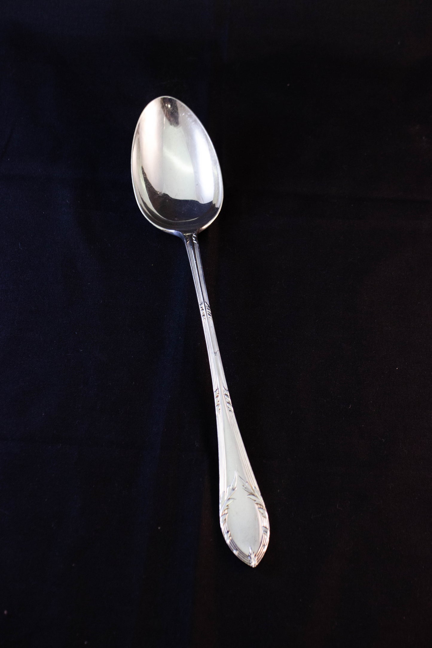 Large Serving Spoon
