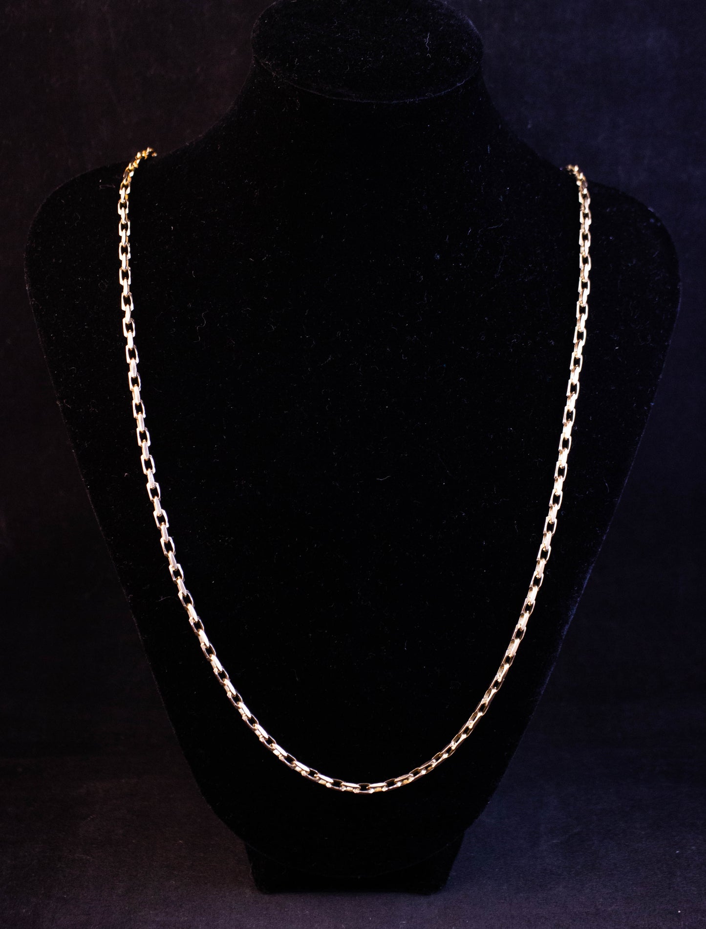 Fancy Link Necklace
