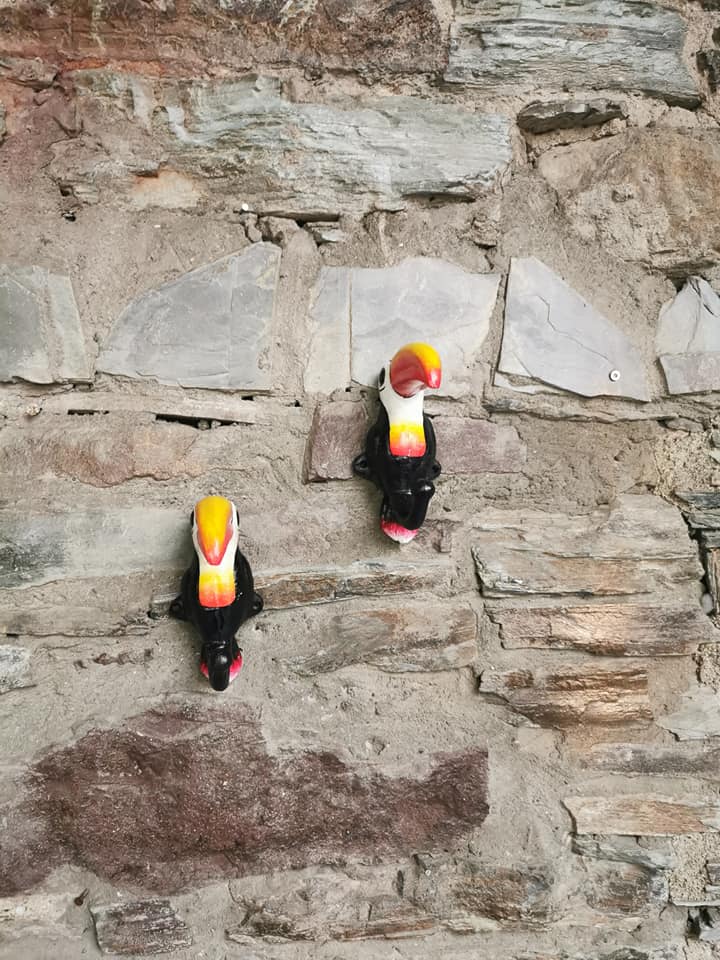 194661278_10158460715223732_4591635463390343469_n