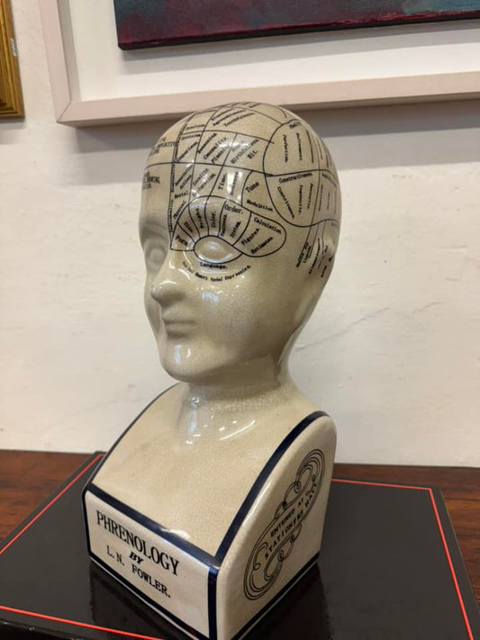 Large Ceramic Phrenology Bust