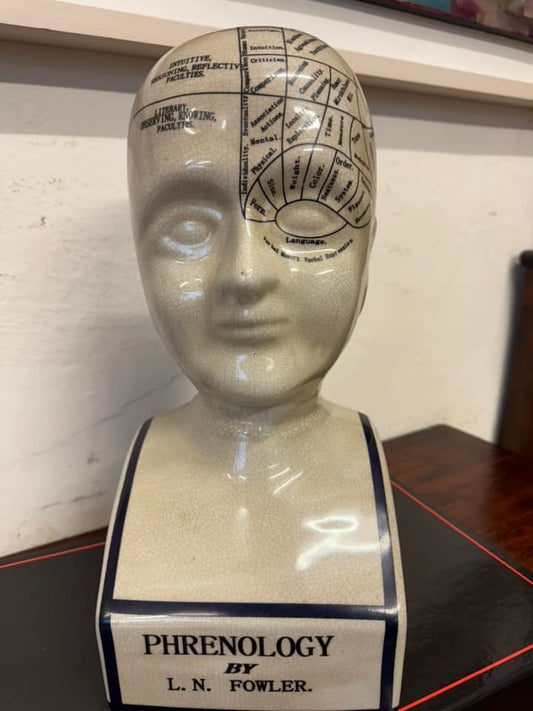 Large Ceramic Phrenology Bust