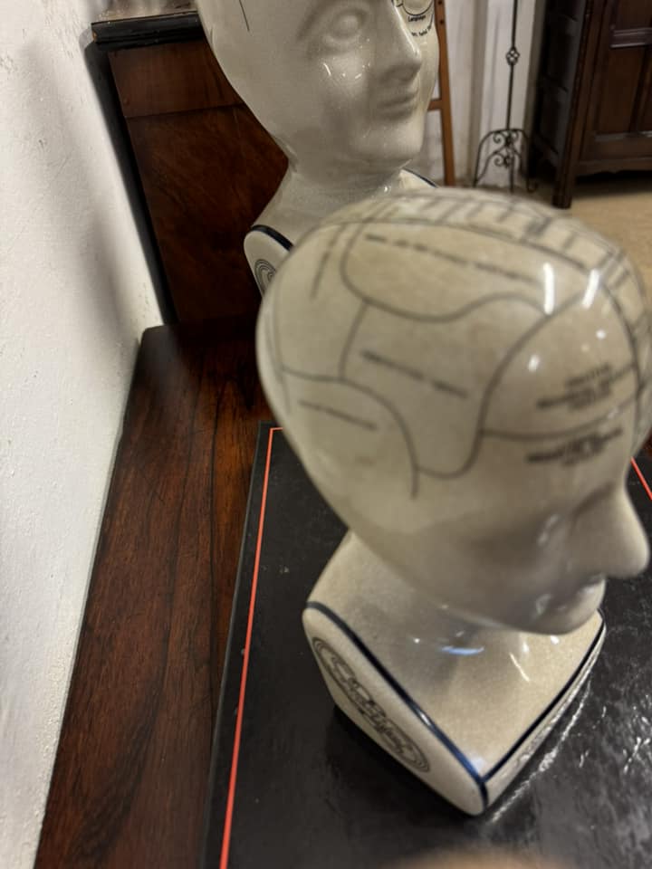 Small Ceramic Phrenology Bust