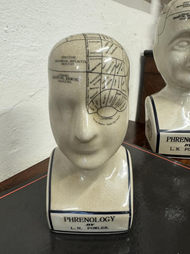 Small Ceramic Phrenology Bust