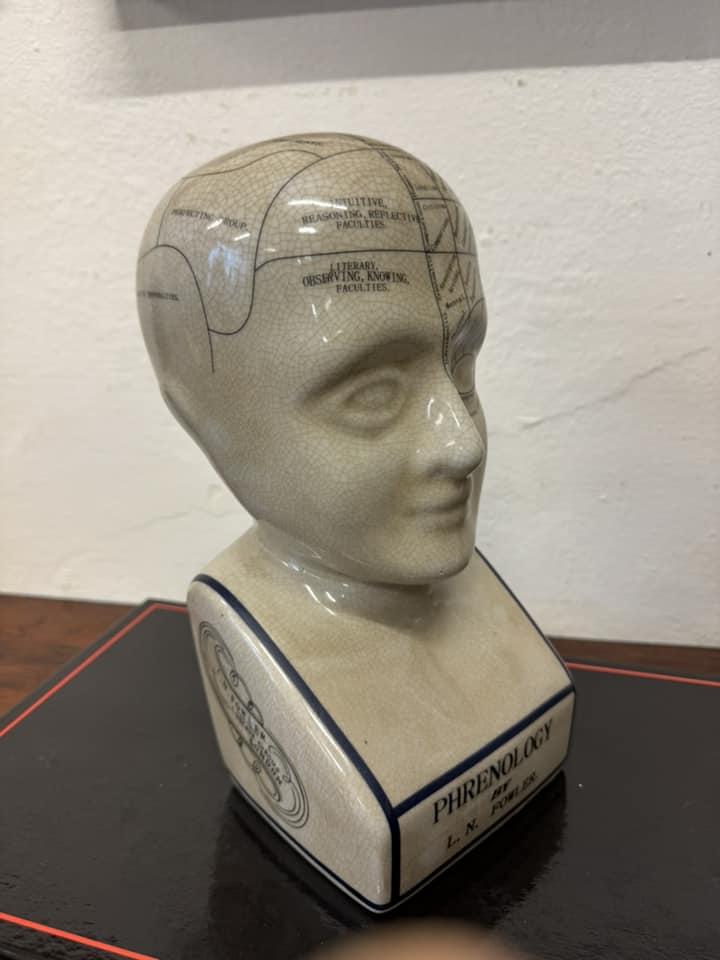 Small Ceramic Phrenology Bust