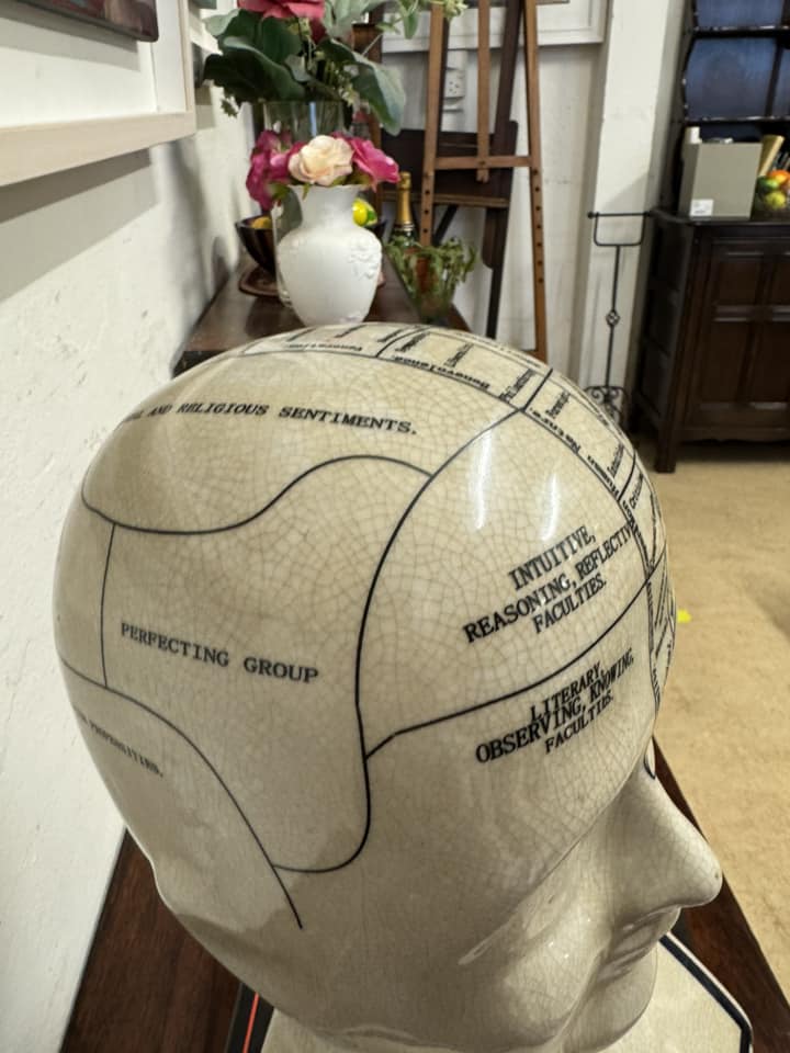 Large Ceramic Phrenology Bust