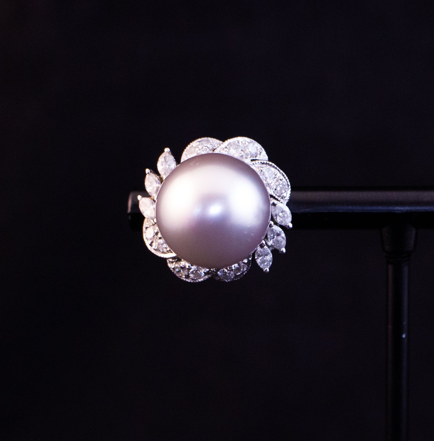 South Sea Pearl Earrings