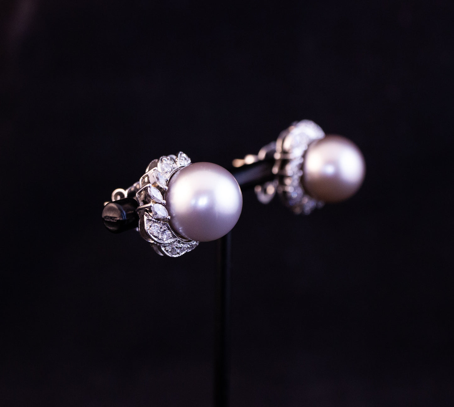 South Sea Pearl Earrings