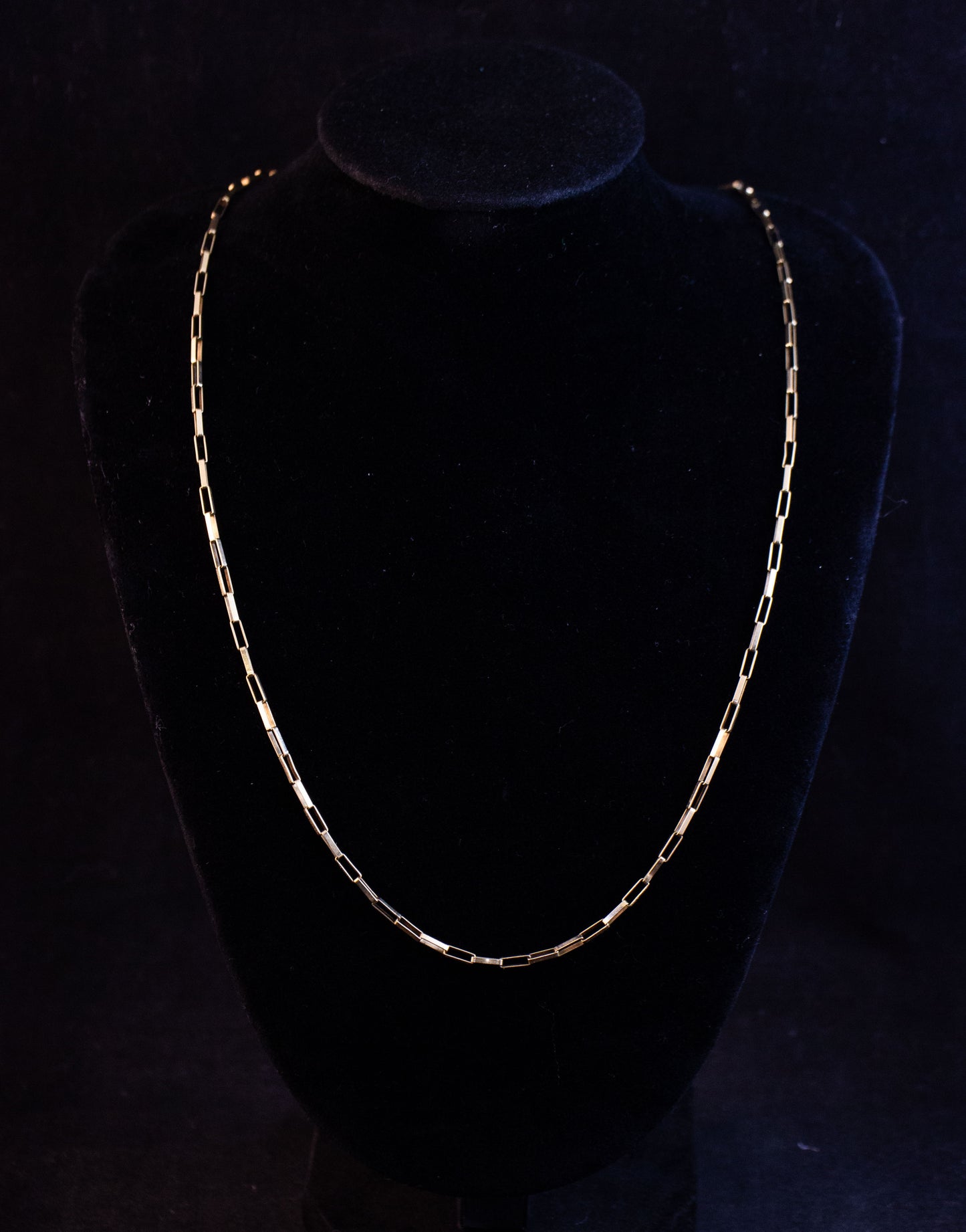 Paper Clip Chain Necklace