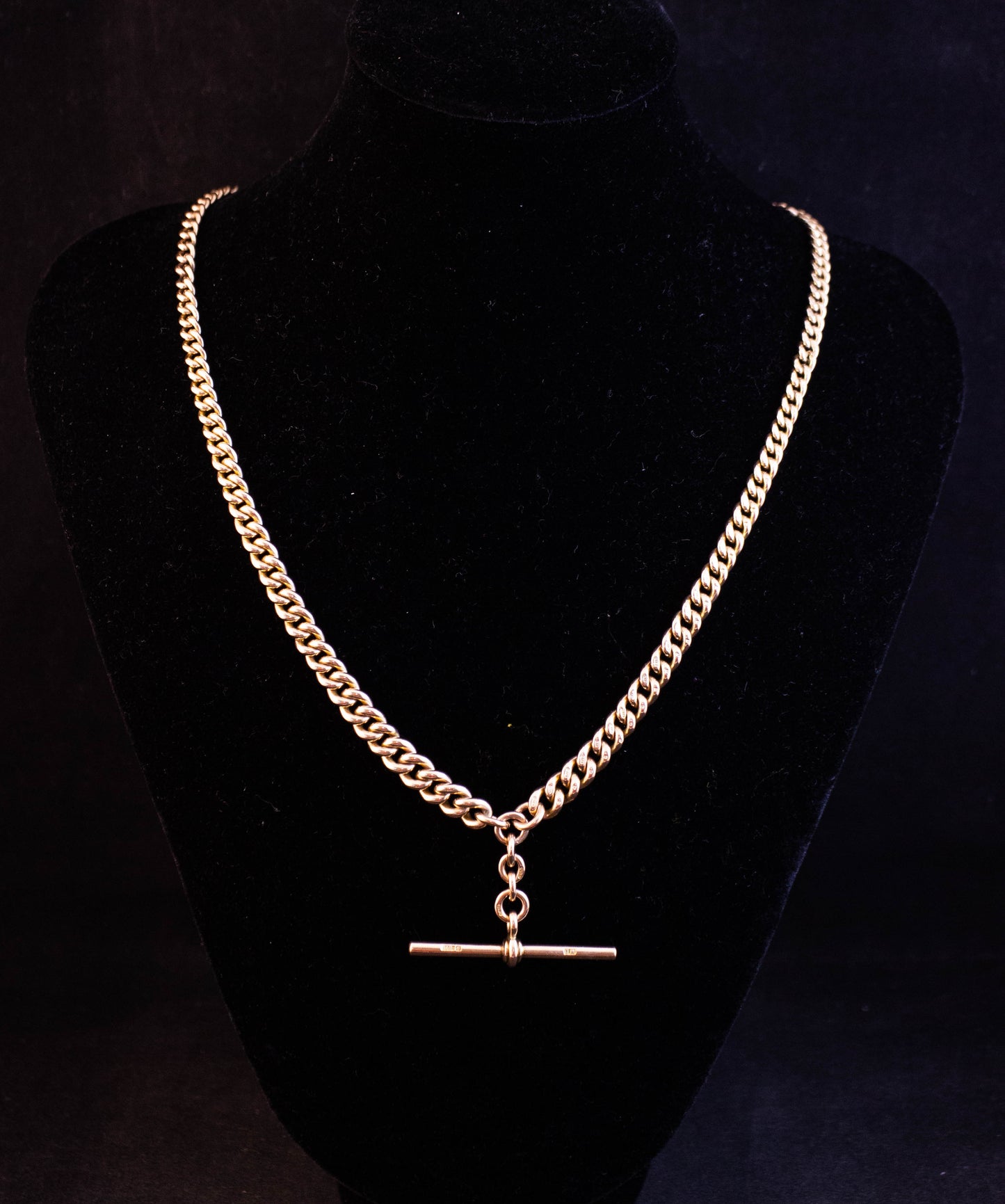 Gold Curb Link Necklace