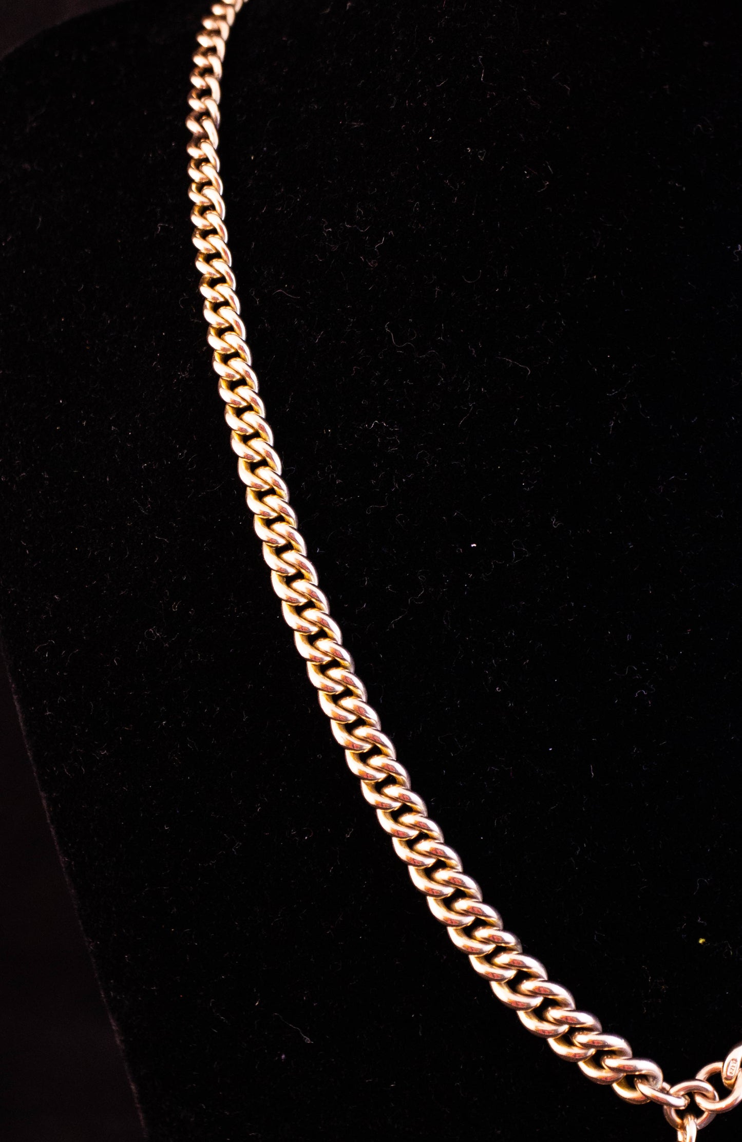 Gold Curb Link Necklace