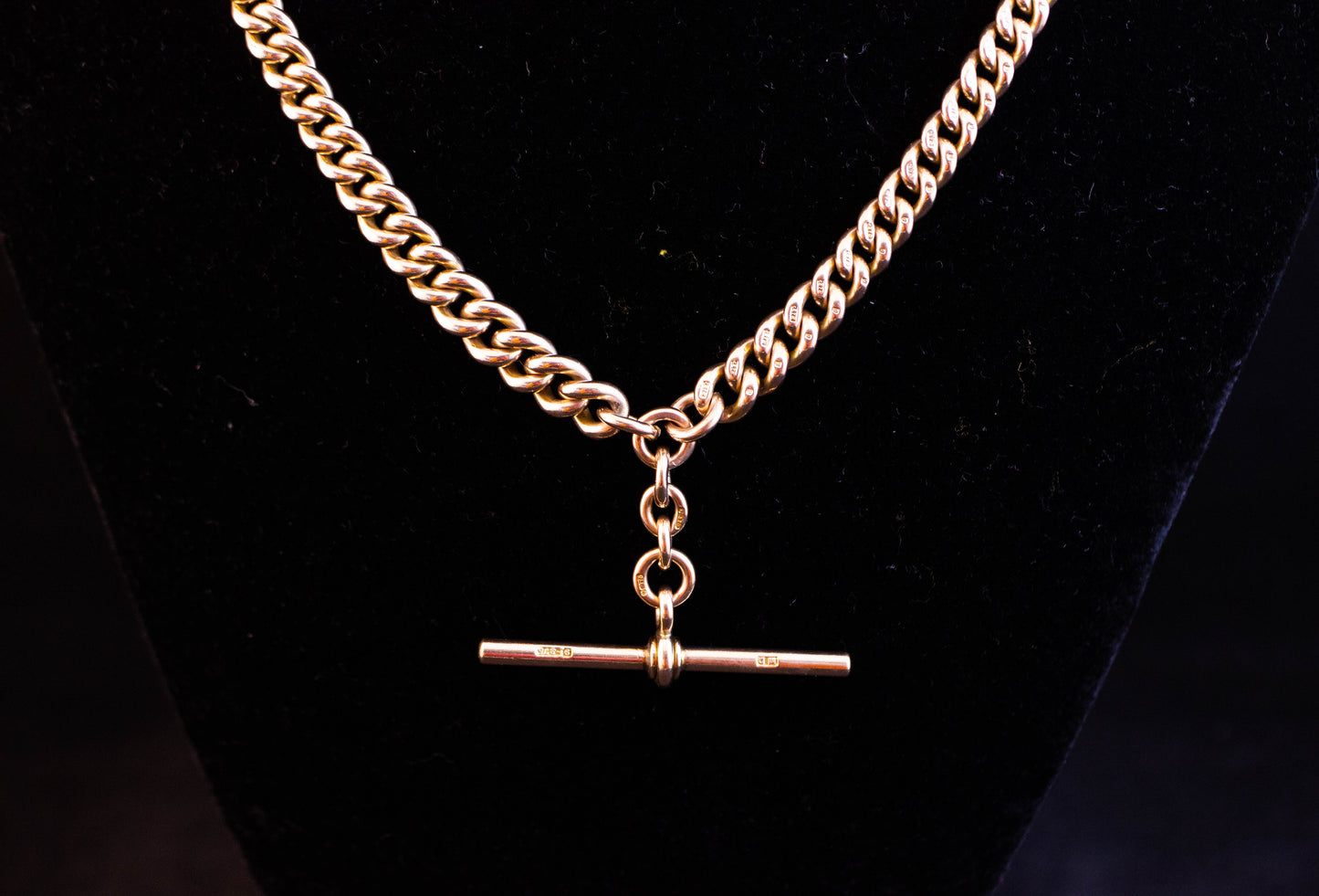 Gold Curb Link Necklace