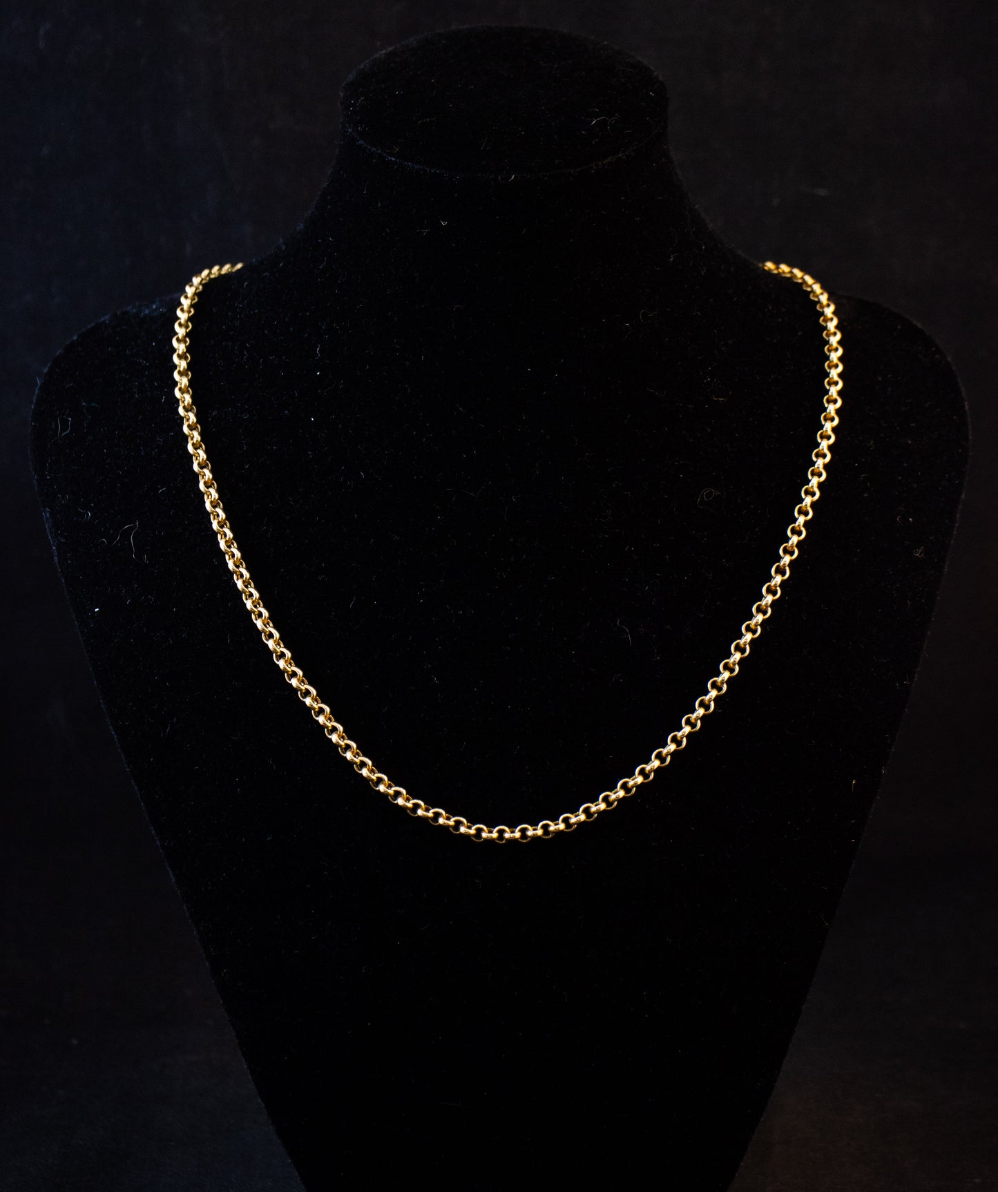 Rolo Link Necklace