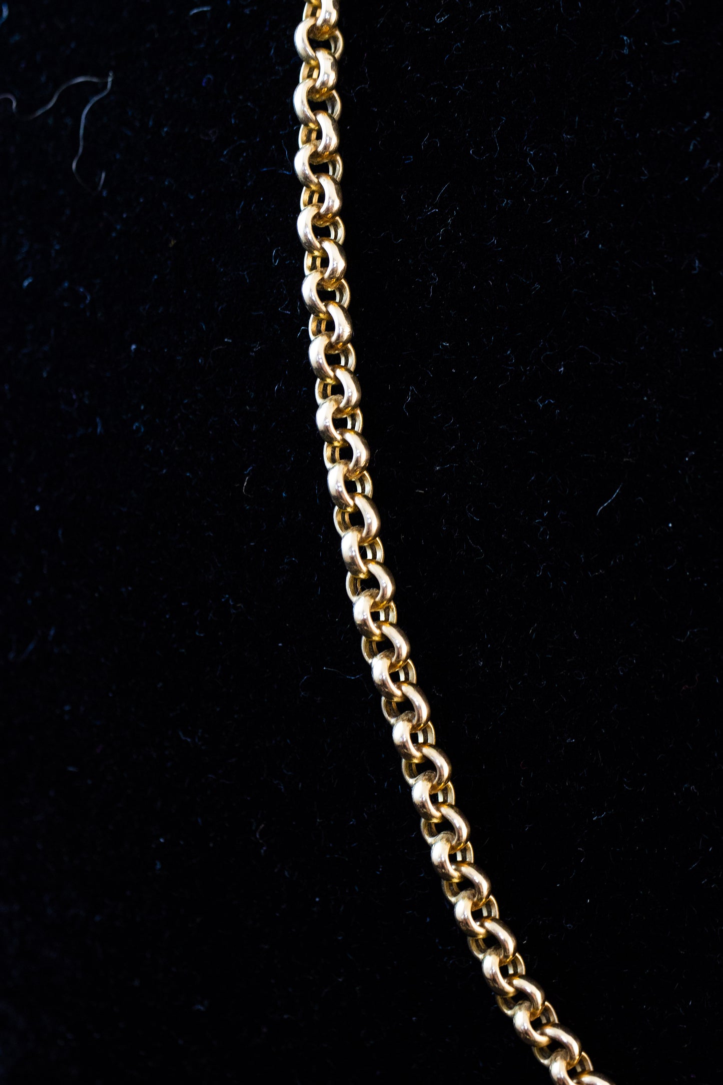 Rolo Link Necklace
